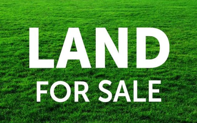 land for sale