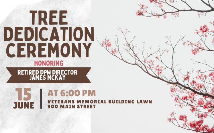 tree dedication